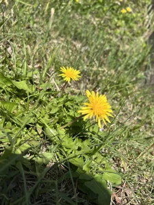 runa-chan- Public Gambar 3