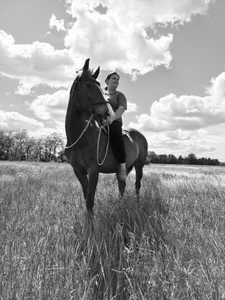🐎 de ollaaaaaaai  photos