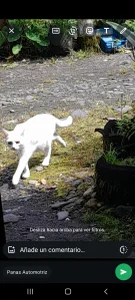 Ortiz3404 Fee 사진