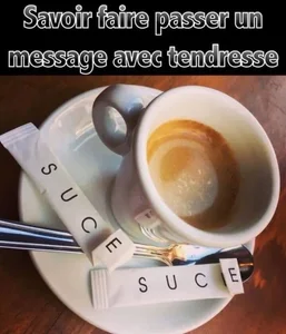 Humour coquin