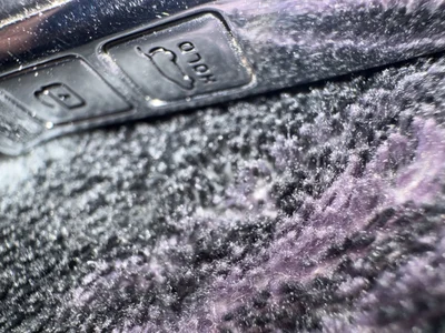 rahulrj934 Drs Billede