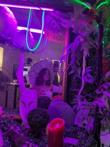 TinaDavil Cute mushroom 圖片 9