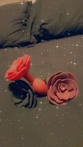 Nos jouets de SherineDivine_et_Hoyden  4 photos