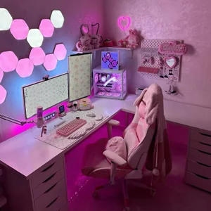 CandyLatina_ Help me remodel my transmission room by donating on my epic goal ✨️💖🫶 Pic