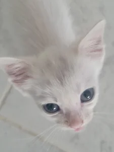 Lovelyamyy Yukime photodump Pic