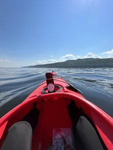 MistyBarnes's YES, CAPTAIN!! Sex Photo 2