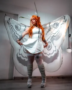 missa_motato polilla Pic 5