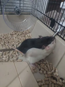 Public de MelissaMays  4 photos