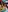 ZashaFoxxxy's photo