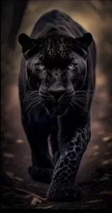 megan-sweet Public Immagine 