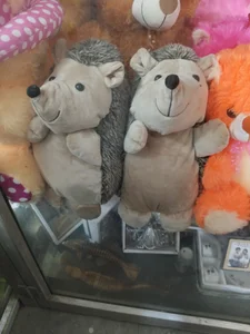 Tamil_boygirl_pussy_riderPublic图片