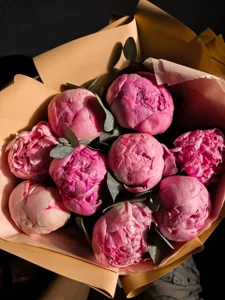 Xonalenei Public slika 3