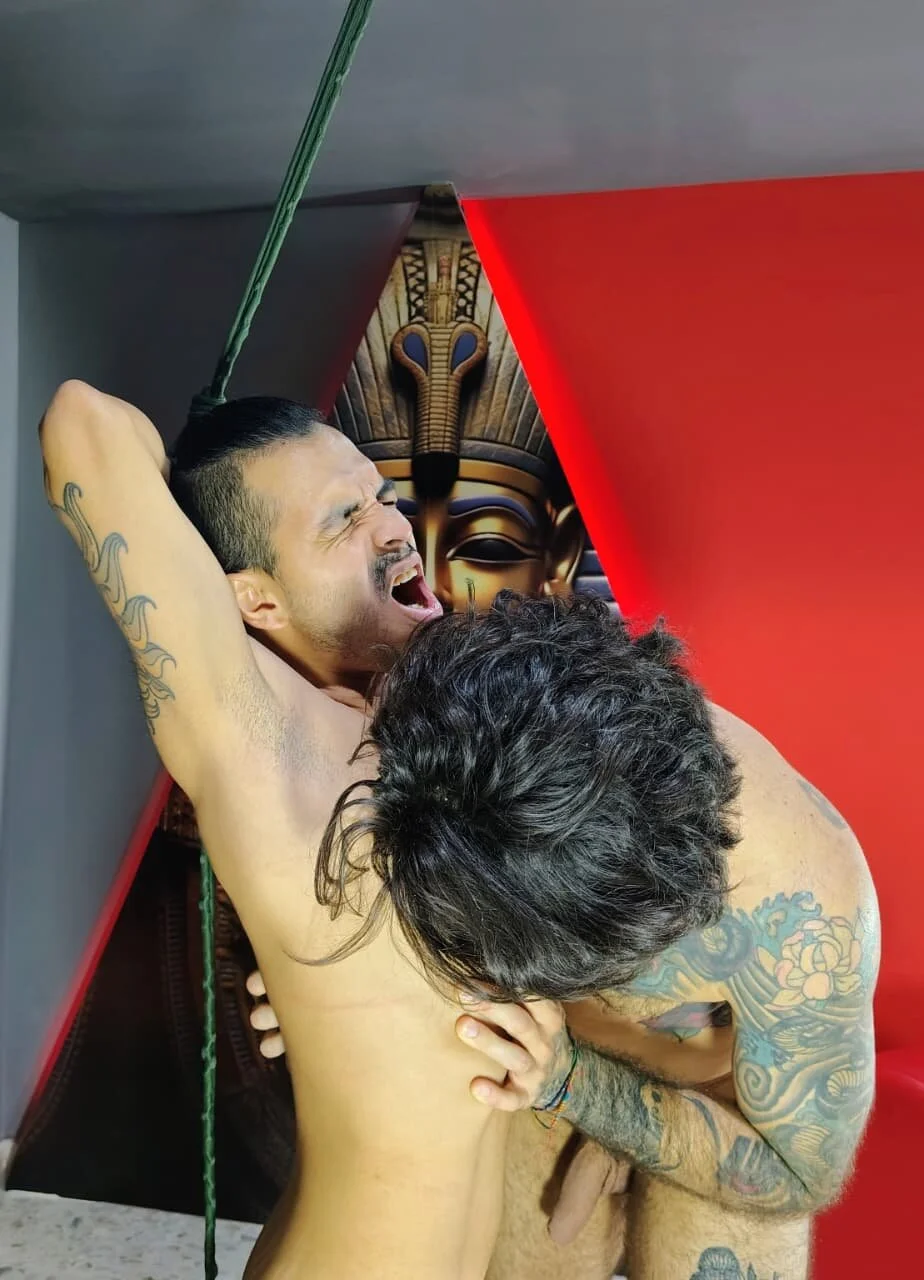 Foto em tendência de Haraldsmed 305