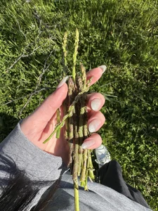 ShannonShanny Nature🌿🪴 Pic