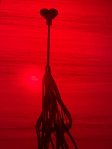 MILU_SLAVEのWHIPS FOR YOU TO FLIP MEの枚の写真