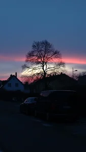 Die-geile-Sau 0 사진 4