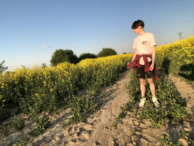 gunter_meiner Flower undress  2টি ছবি