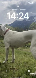 Public de AquaticMovement74  2 Imagens