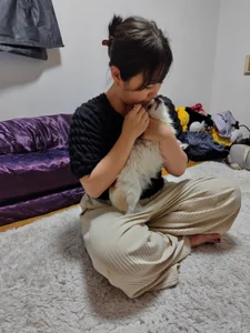 Public od h415a812  snímek