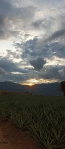 melody-tarly I went for a walk 🤭🤭🙈 Bilde 8