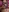 Tokyodreamss's photo