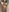 After cumshot photo collection (Part 2). Face, mouth, tits, stomach