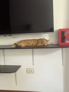 kendall_ruizのMore about meの 2枚の写真