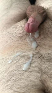 Free de bama_md08  3 Imagens