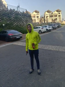 Bingiii Public slika