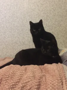 SexyAnny_ my Grisha and Barsik Pic