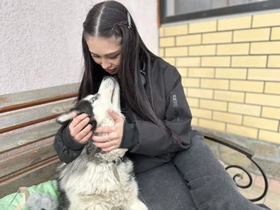 Sofia_Plump dog shelter Pic 6