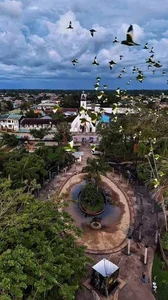 love_amor_ 🫒🐒Next destination:Amazonas Leticia.✈️ Foto 2