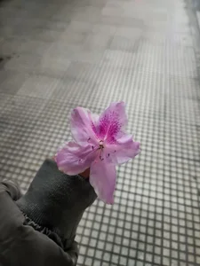 Ariagal Me❤️‍🔥 Pic 5