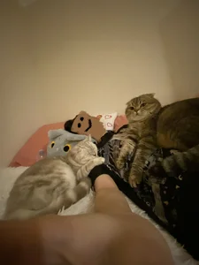 Taste_Jennyy random photos Pic 7