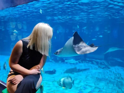 HotBrandyX Public รูป  4