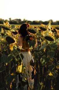 Bonnie_Naughtyy Golden hour and sunflowers are a beautiful combination. 🌻 Pic 3