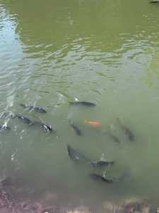 maria_stevens_s 🐠🐟 Εικόνα