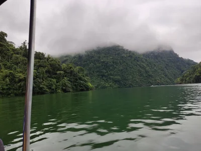 TigerStripes1_World Bild 8