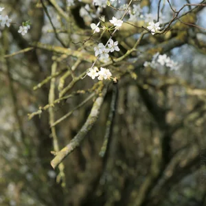 yulladao bleu nature Immagine  9