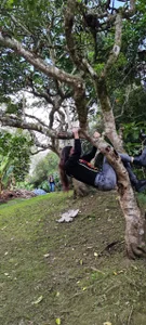 Zdjęcia Alice_Dickinssonn Fotos random:  7