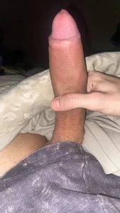 Public de NotYourTransBaby Foto 8