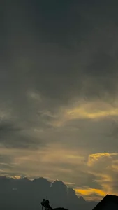 DICK5016: Public ( 4 фото)