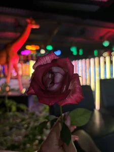 Leri_Stargive women flowers 🌹图片 8