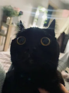 BeckyAurielleのMy friendsの 2枚の写真