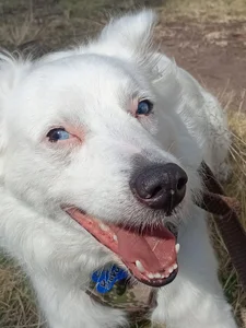 atena_hill Public Pic 2