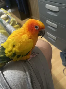 69wannaplay71 Public รูป  6