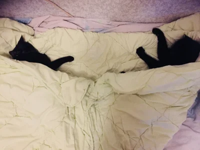 SexyAnny_ my Grisha and Barsik Pic 3