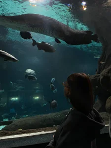 It's me ^-^ de linda_leps  Imagens