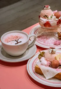 YURIKAsan_ 日常 Foto 2