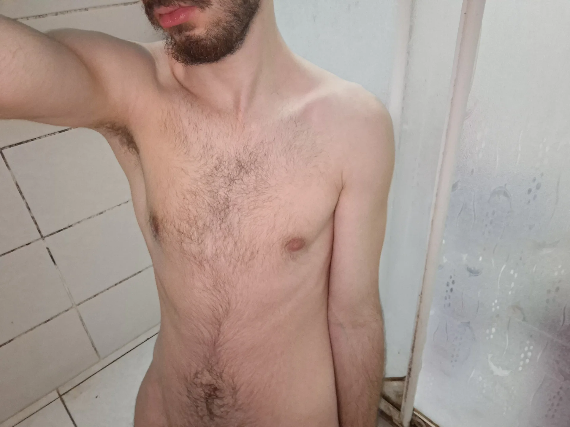 virginhairyboy20My body Bild